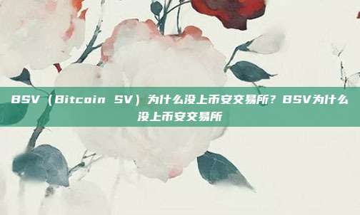 BSV（Bitcoin SV）为什么没上币安交易所？BSV为什么没上币安交易所