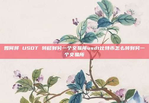 如何将 USDT 转移到另一个交易所usdt比特币怎么转到另一个交易所