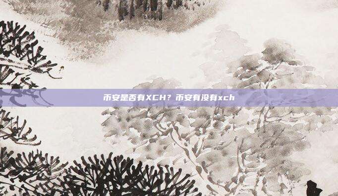 币安是否有XCH？币安有没有xch