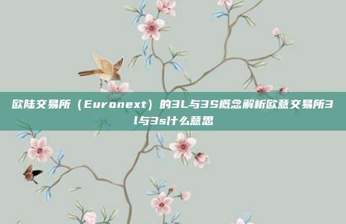 欧陆交易所（Euronext）的3L与3S概念解析欧意交易所3l与3s什么意思