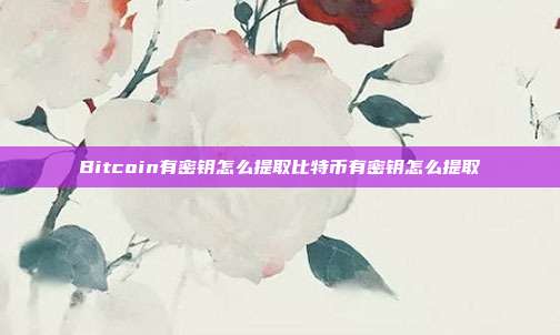 Bitcoin有密钥怎么提取比特币有密钥怎么提取