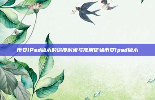 币安iPad版本的深度解析与使用体验币安ipad版本