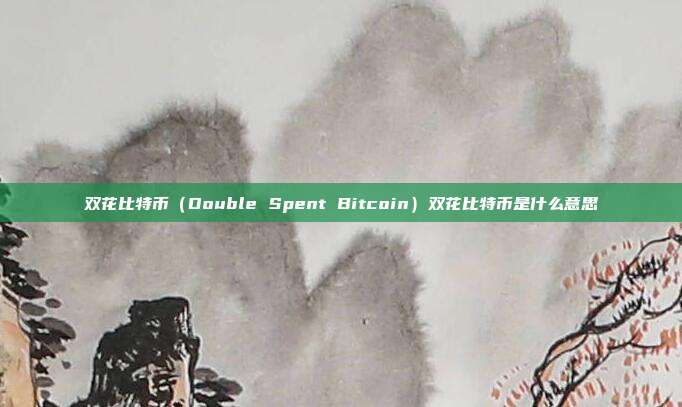 双花比特币（Double Spent Bitcoin）双花比特币是什么意思