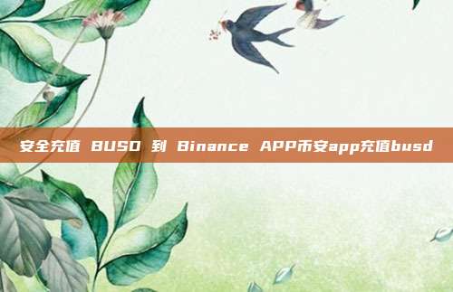 安全充值 BUSD 到 Binance APP币安app充值busd