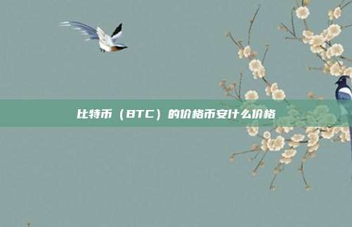 比特币（BTC）的价格币安什么价格