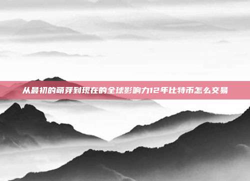 从最初的萌芽到现在的全球影响力12年比特币怎么交易