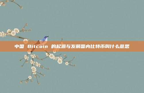 中国 Bitcoin 的起源与发展国内比特币叫什么意思