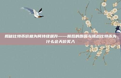 揭秘比特币价格为何持续飙升——背后的原因与挑战比特币为什么会天价买入