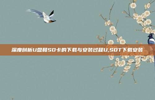 深度剖析U盘和SD卡的下载与安装过程U,SDT下载安装