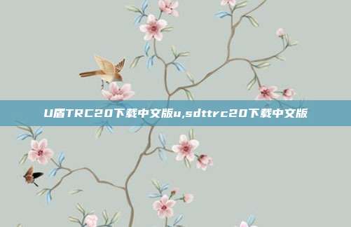 U盾TRC20下载中文版u,sdttrc20下载中文版