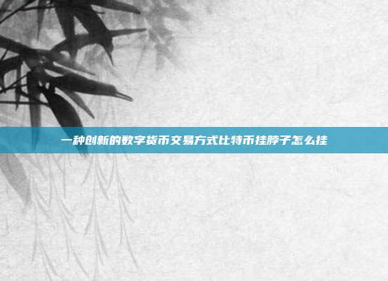 一种创新的数字货币交易方式比特币挂脖子怎么挂