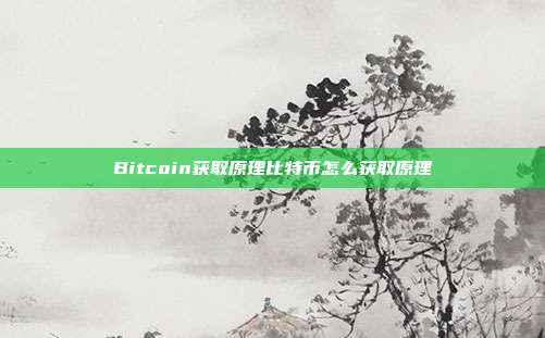 Bitcoin获取原理比特币怎么获取原理