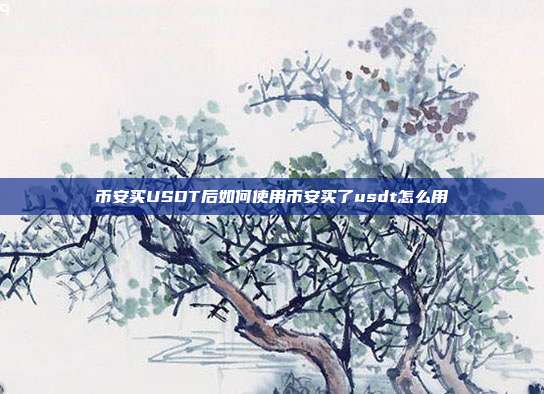 币安买USDT后如何使用币安买了usdt怎么用