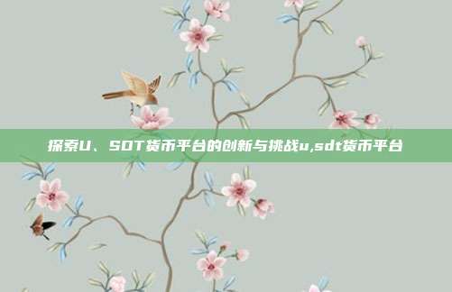 探索U、SDT货币平台的创新与挑战u,sdt货币平台