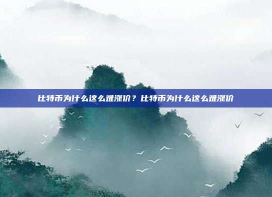 比特币为什么这么难涨价？比特币为什么这么难涨价