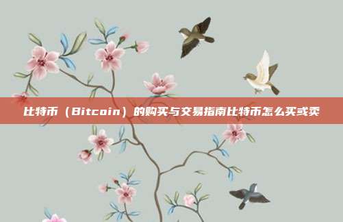 比特币（Bitcoin）的购买与交易指南比特币怎么买或卖