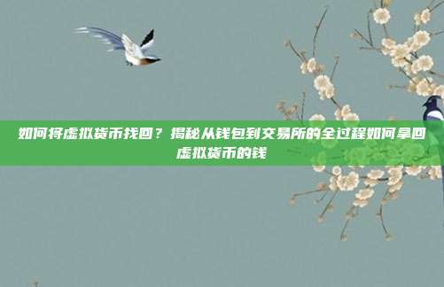 如何将虚拟货币找回？揭秘从钱包到交易所的全过程如何拿回虚拟货币的钱