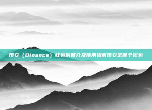 币安（Binance）钱包的简介及使用指南币安是哪个钱包