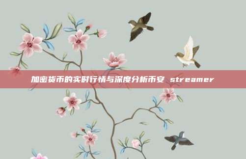 加密货币的实时行情与深度分析币安 streamer