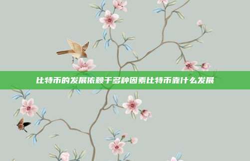 比特币的发展依赖于多种因素比特币靠什么发展