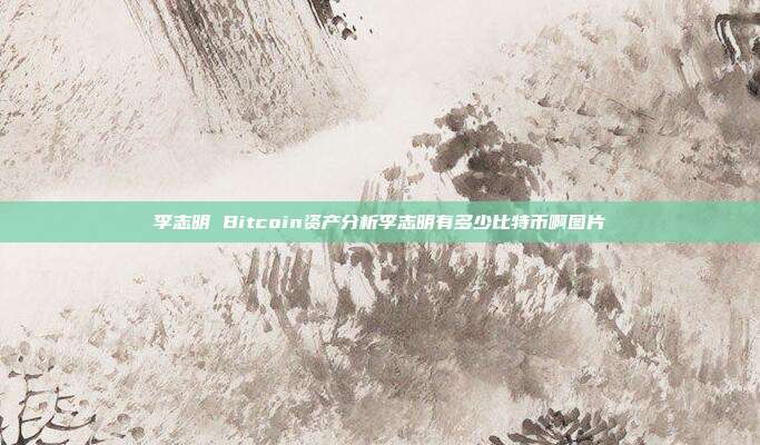 李志明 Bitcoin资产分析李志明有多少比特币啊图片