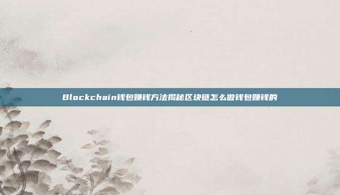 Blockchain钱包赚钱方法揭秘区块链怎么做钱包赚钱的