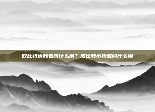 放比特币钱包叫什么用？放比特币钱包叫什么用