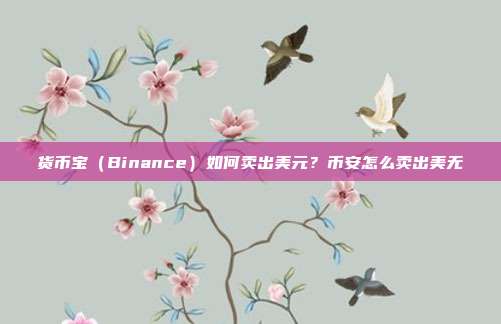 货币宝（Binance）如何卖出美元？币安怎么卖出美无