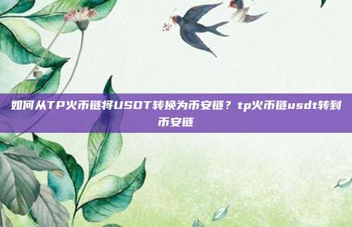 如何从TP火币链将USDT转换为币安链？tp火币链usdt转到币安链