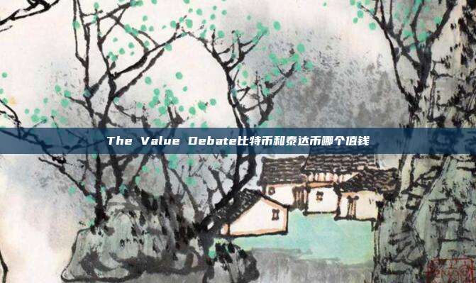 The Value Debate比特币和泰达币哪个值钱