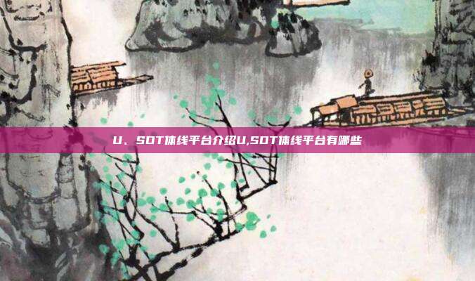 U、SDT体线平台介绍U,SDT体线平台有哪些