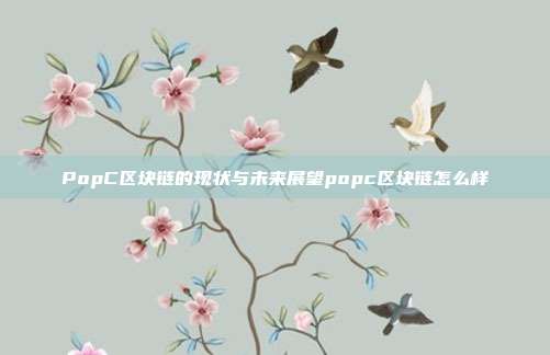 PopC区块链的现状与未来展望popc区块链怎么样