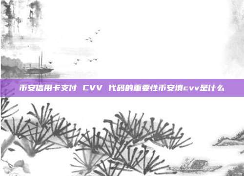 币安信用卡支付 CVV 代码的重要性币安填cvv是什么