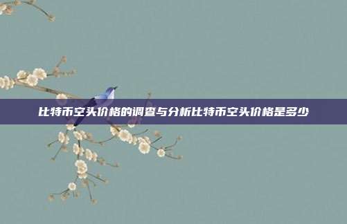 比特币空头价格的调查与分析比特币空头价格是多少