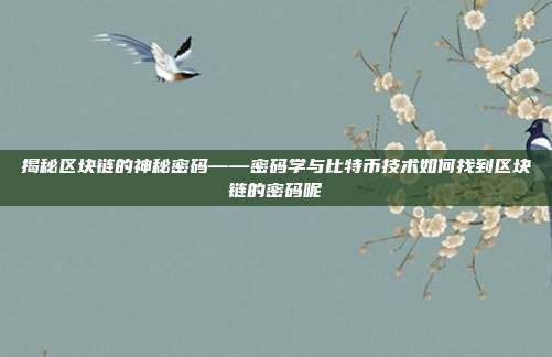 揭秘区块链的神秘密码——密码学与比特币技术如何找到区块链的密码呢