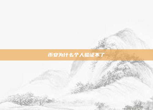 币安为什么个人验证不了