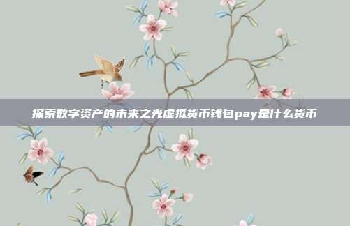 探索数字资产的未来之光虚拟货币钱包pay是什么货币