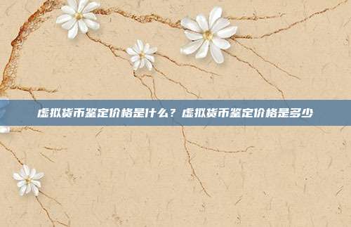 虚拟货币鉴定价格是什么？虚拟货币鉴定价格是多少