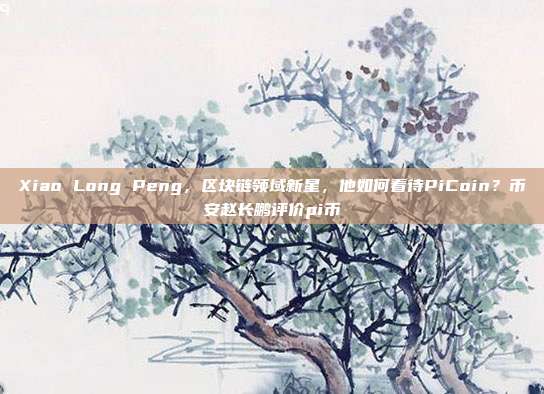 Xiao Long Peng，区块链领域新星，他如何看待PiCoin？币安赵长鹏评价pi币