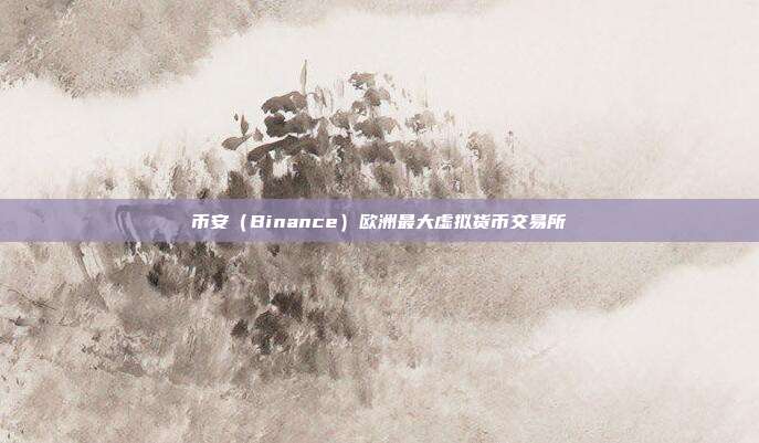 币安（Binance）欧洲最大虚拟货币交易所