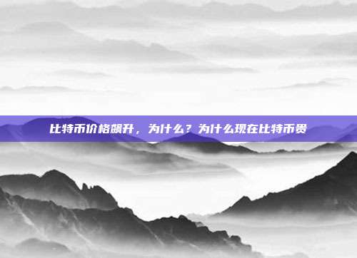 比特币价格飙升，为什么？为什么现在比特币贵