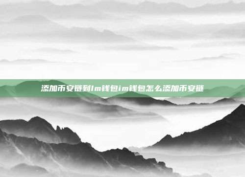 添加币安链到Im钱包im钱包怎么添加币安链