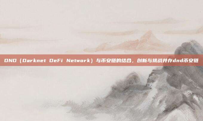 DND（Darknet DeFi Network）与币安链的结合，创新与挑战并存dnd币安链