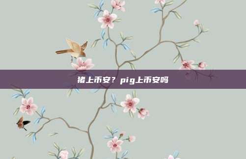 猪上币安？pig上币安吗