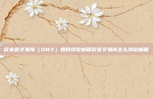 欧米亚交易所（OMX）如何绑定邮箱欧意交易所怎么绑定邮箱