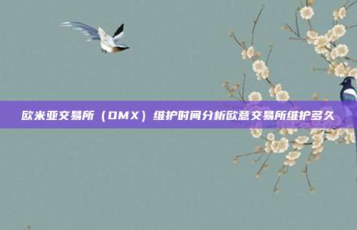 欧米亚交易所（OMX）维护时间分析欧意交易所维护多久