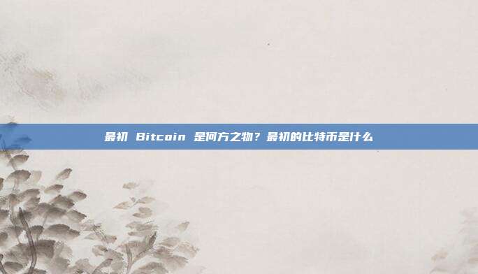 最初 Bitcoin 是何方之物？最初的比特币是什么