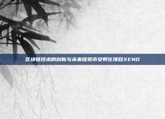 区块链技术的创新与未来探索币安孵化项目XEND