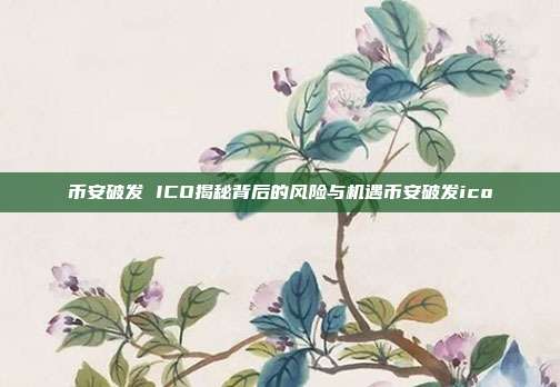 币安破发 ICO揭秘背后的风险与机遇币安破发ico