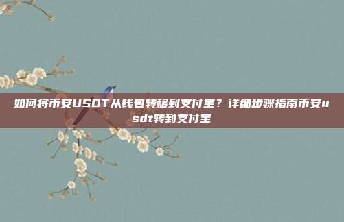 如何将币安USDT从钱包转移到支付宝？详细步骤指南币安usdt转到支付宝